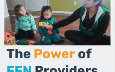 The Power of FFN Providers